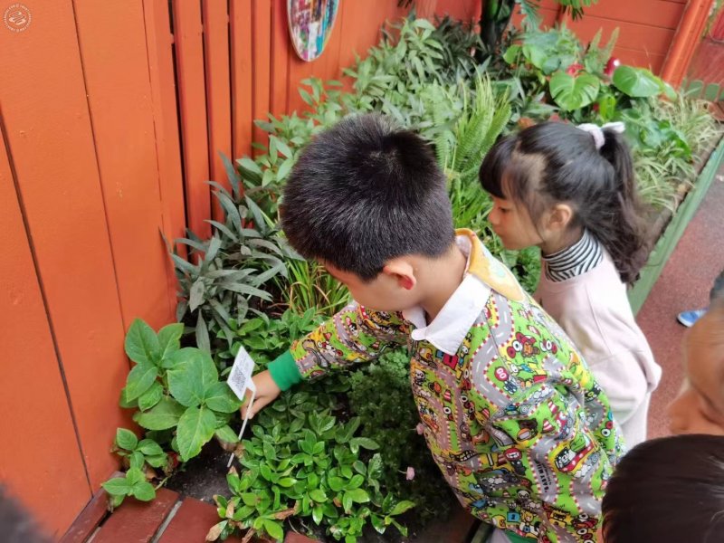 Aiju Kindergarten on SmartShanghai