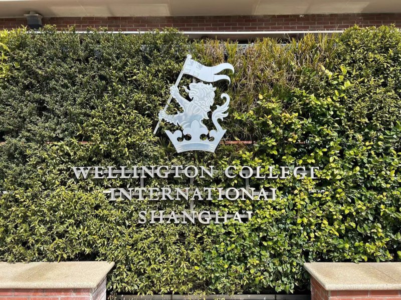 sportED Tennis (Wellington Qiantan Campus) on SmartShanghai