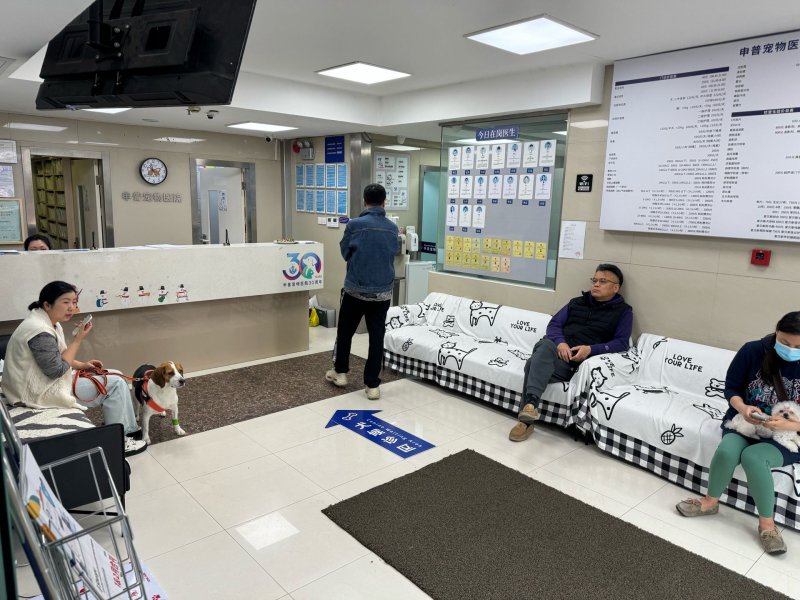 Shenpu Pet Hospital (Huangpu) on SmartShanghai