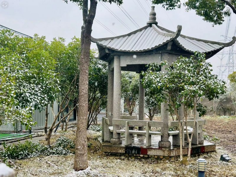 Cozy Pet Town on SmartShanghai
