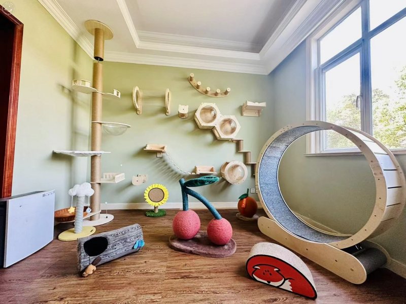 Cozy Pet Town on SmartShanghai