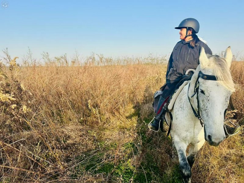 City CowBoys on SmartShanghai
