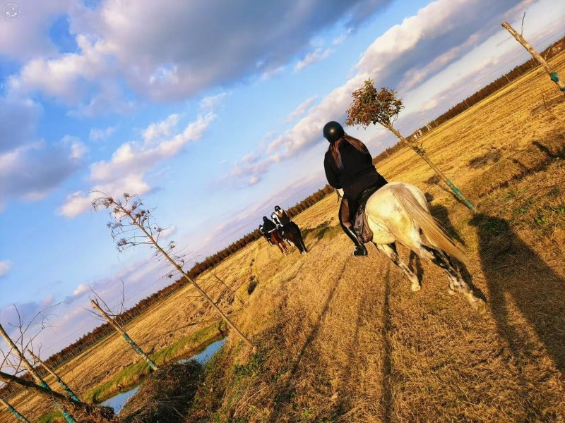 City CowBoys on SmartShanghai