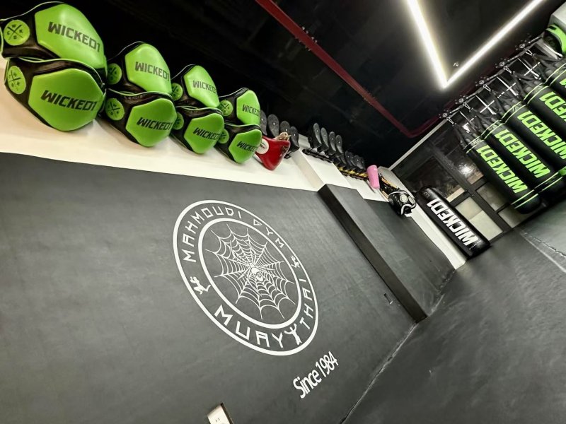 Mahmoudi Gym on SmartShanghai