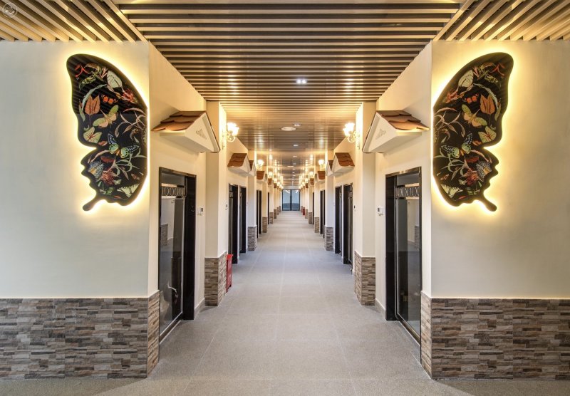 B&M Pet Hotel  on SmartShanghai