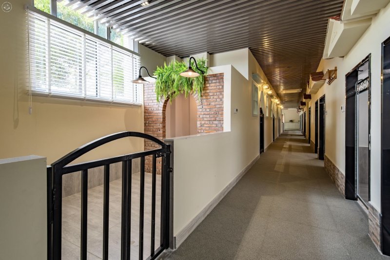 B&M Pet Hotel  on SmartShanghai
