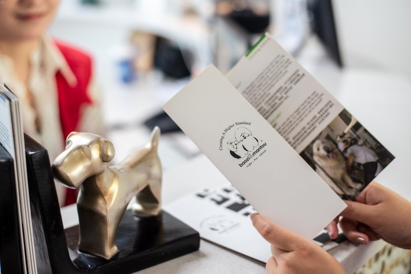 B&M Pet Hotel  on SmartShanghai