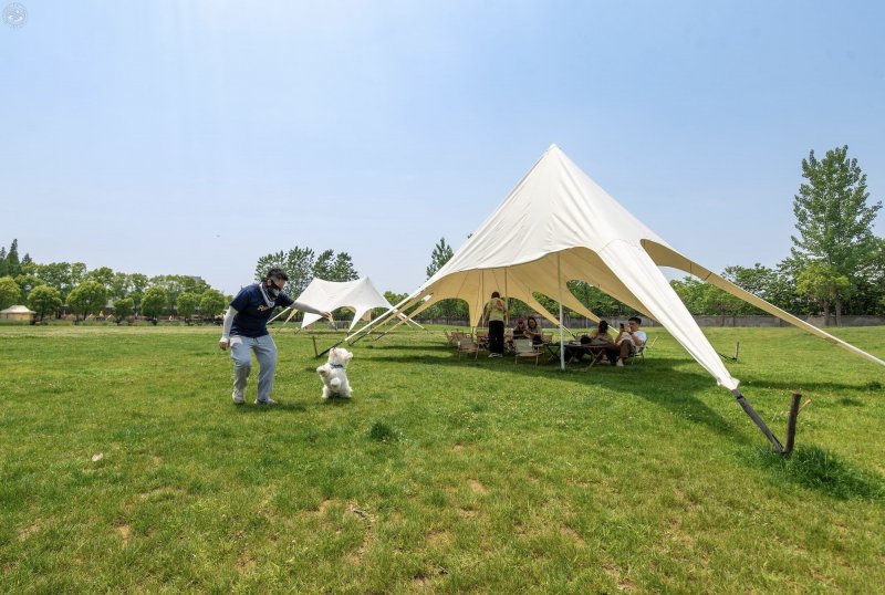 B&M Pet Hotel  on SmartShanghai