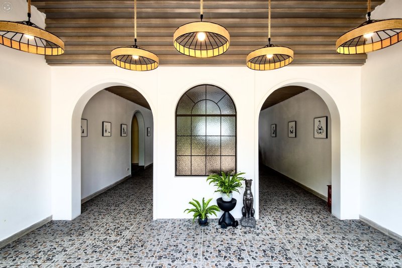 B&M Pet Hotel  on SmartShanghai