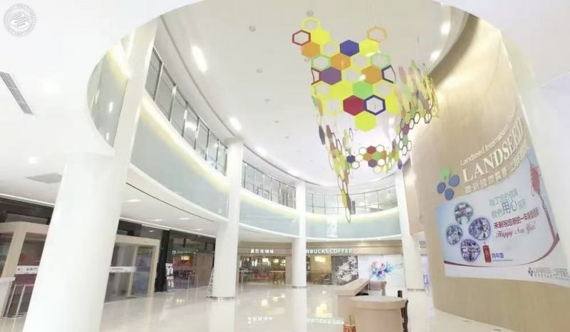 Landseed Hospital on SmartShanghai