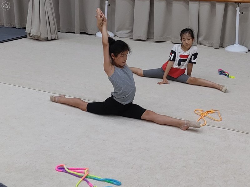 Vera International Rhythmic Gymnastics Club on SmartShanghai