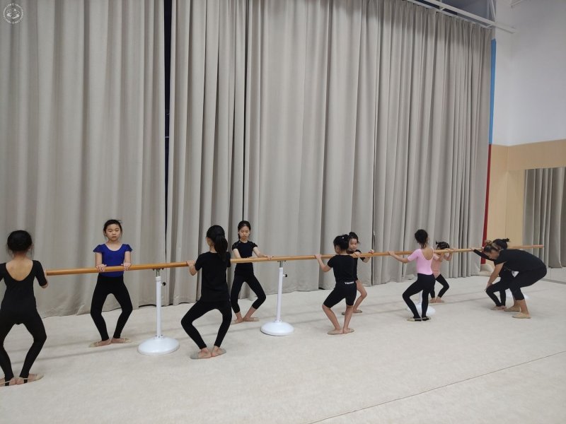 Vera International Rhythmic Gymnastics Club on SmartShanghai